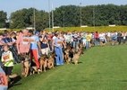 Brawos Bis FCI, hodowla Owczarków Niemieckich, Owczarki Niemieckie