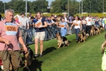 Brawos Bis FCI, hodowla Owczarków Niemieckich, Owczarki Niemieckie