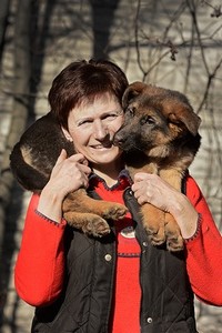 Brawos Bis FCI, hodowla Owczarków Niemieckich, Owczarki Niemieckie